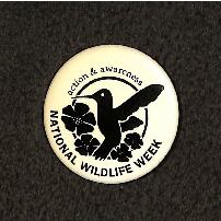 Action and awareness : National Wildlife Week